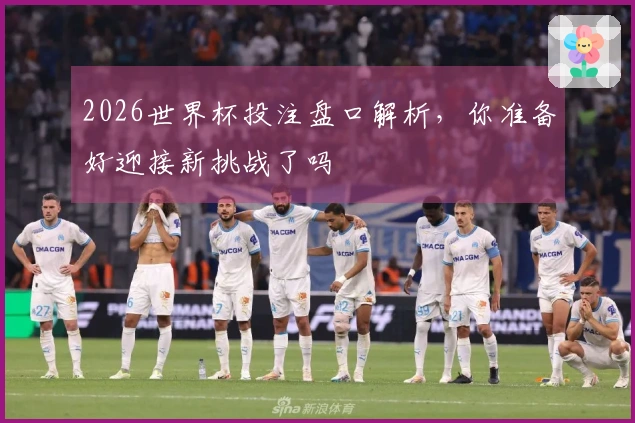 2026世界杯投注盘口解析，你准备好迎接新挑战了吗