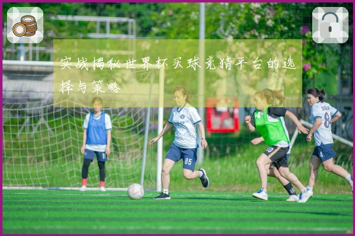 实战揭秘世界杯买球竞猜平台的选择与策略