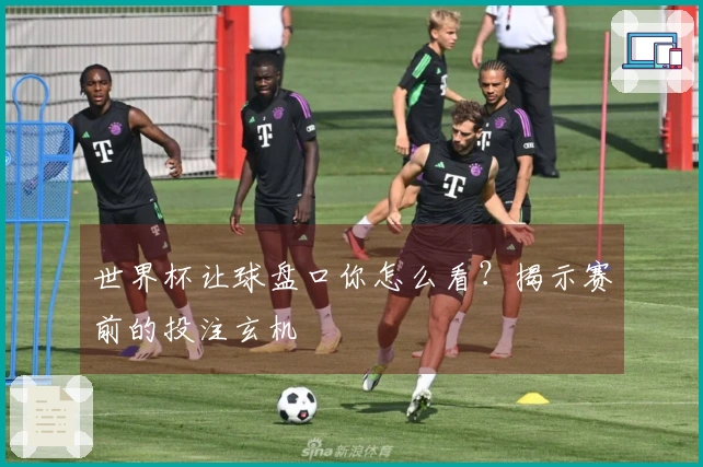 世界杯让球盘口你怎么看？揭示赛前的投注玄机