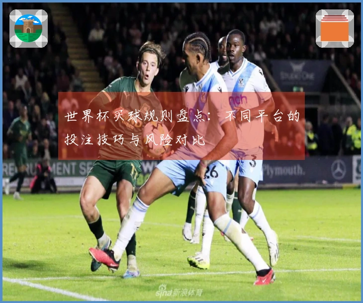 世界杯买球规则盘点：不同平台的投注技巧与风险对比