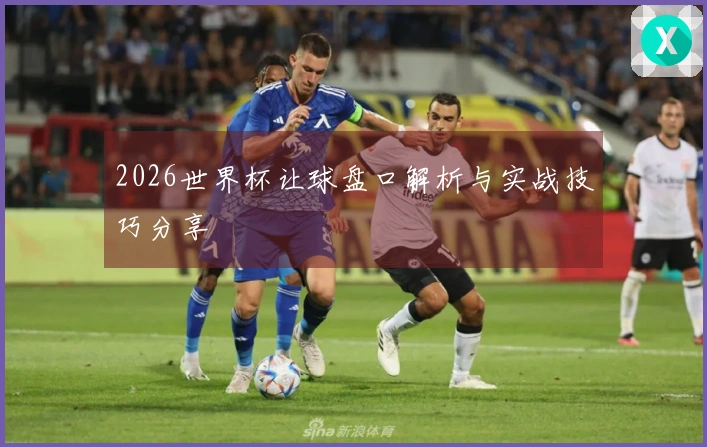 2026世界杯让球盘口解析与实战技巧分享