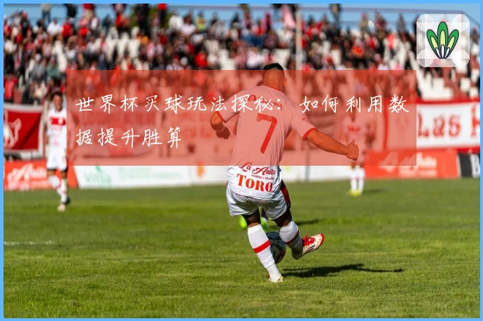 世界杯买球玩法探秘：如何利用数据提升胜算