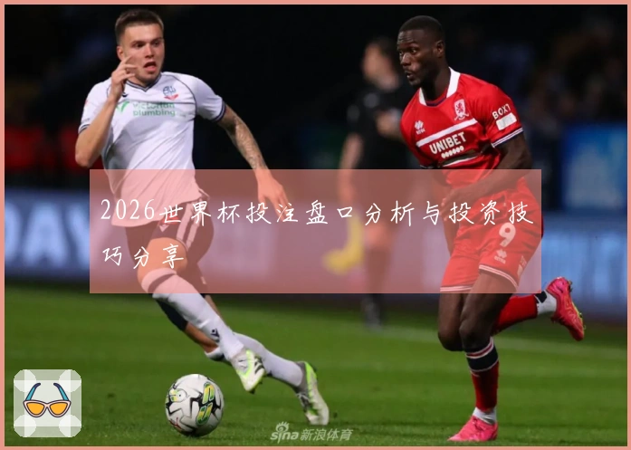 2026世界杯投注盘口分析与投资技巧分享