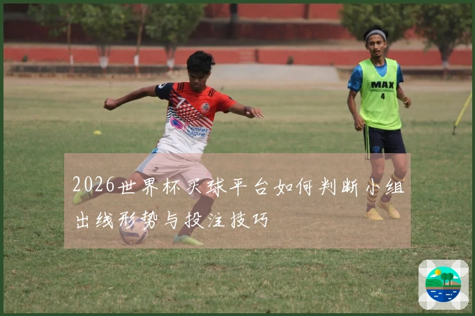 2026世界杯买球平台如何判断小组出线形势与投注技巧
