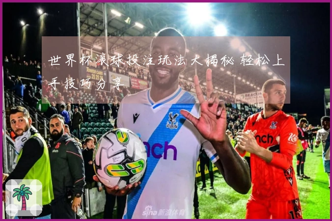 世界杯滚球投注玩法大揭秘 轻松上手技巧分享