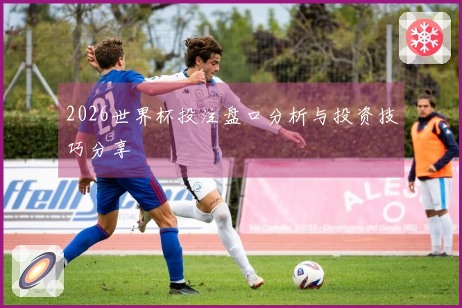 2026世界杯投注盘口分析与投资技巧分享