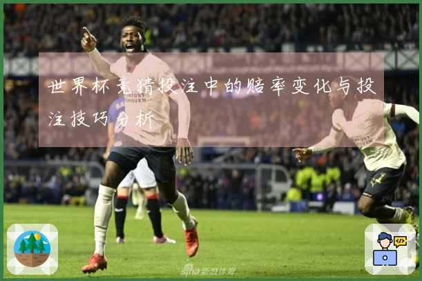 世界杯竞猜投注中的赔率变化与投注技巧分析