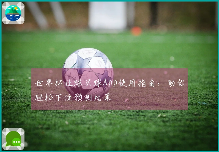 世界杯让球买球App使用指南，助你轻松下注预测结果