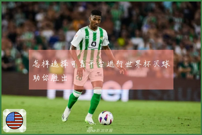 怎样选择可靠平台进行世界杯买球助你胜出