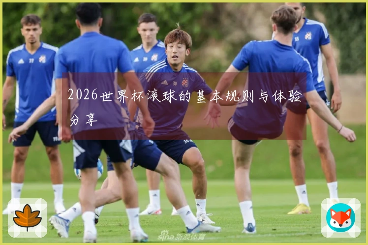 2026世界杯滚球的基本规则与体验分享