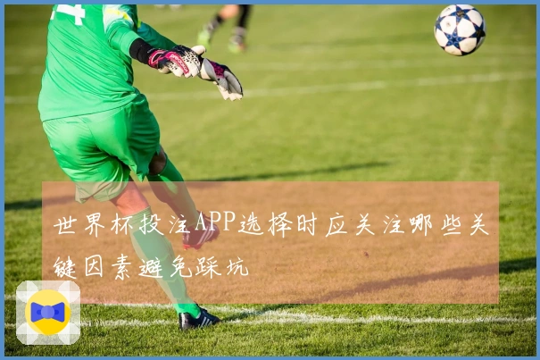 世界杯投注APP选择时应关注哪些关键因素避免踩坑