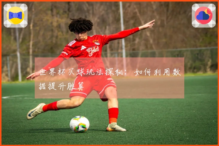 世界杯买球玩法探秘：如何利用数据提升胜算