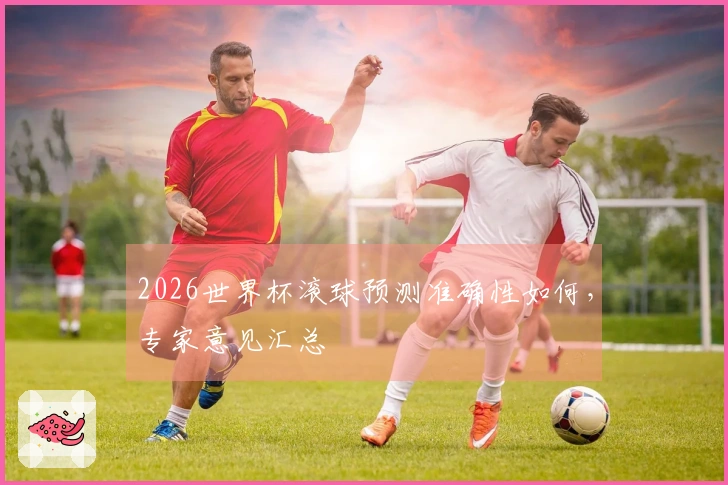2026世界杯滚球预测准确性如何，专家意见汇总