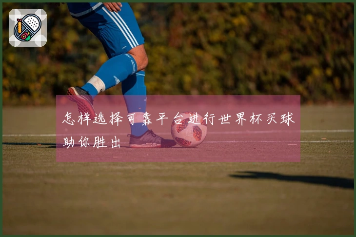 怎样选择可靠平台进行世界杯买球助你胜出