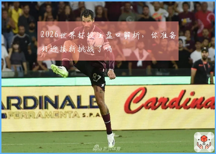 2026世界杯投注盘口解析，你准备好迎接新挑战了吗